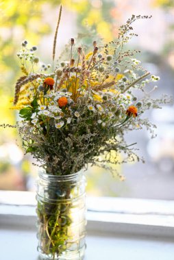 Masada gözlüklü üzgün kedi oturuyor. Masanın üzerinde boş bir defter ve bir kalem var. İnsan olarak hayvan kavramı. Kedi masada oturuyor..
