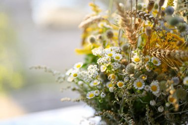Masada gözlüklü üzgün kedi oturuyor. Masanın üzerinde boş bir defter ve bir kalem var. İnsan olarak hayvan kavramı. Kedi masada oturuyor..