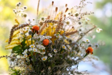 Masada gözlüklü üzgün kedi oturuyor. Masanın üzerinde boş bir defter ve bir kalem var. İnsan olarak hayvan kavramı. Kedi masada oturuyor..