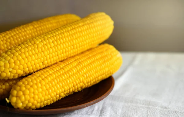 Masada gözlüklü üzgün kedi oturuyor. Masanın üzerinde boş bir defter ve bir kalem var. İnsan olarak hayvan kavramı. Kedi masada oturuyor..