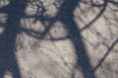 Soyut arkaplan. Ağacın gölgesinde beton. Gri beton duvar. Üniformasız beton duvarın dokusu.. 