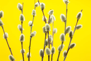 Philadelphia suşisi taze çiğ somon, krem peynir ve avokado ile yapılır. Teslimat için plastik bir konteynırda yuvarlanıyor. Lezzetli sağlıklı yemek..