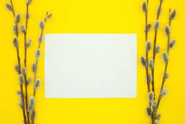 Philadelphia suşisi taze çiğ somon, krem peynir ve avokado ile yapılır. Teslimat için plastik bir konteynırda yuvarlanıyor. Lezzetli sağlıklı yemek..