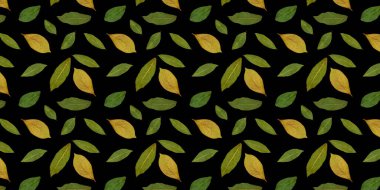  Kusursuz desen. Kurumuş sonbahar yaprakları. Baskı ve dekorasyon için. Yapraklar gerçek, boyanmamış. Bitki.