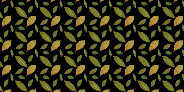 Бесшовный Шаблон Сухие Осенние Листья Печати Декорирования Листья Настоящие Окрашены — стоковое фото