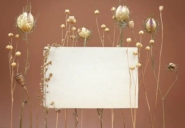 Makyaj yap, kuru yabani otlar ve boş bir kağıt parçasından kompozisyon oluştur. Doğallık ve doğayla bütünlük kavramı, İskandinav tarzı, kurumuş çiçekler. Davetiye, kartpostal.