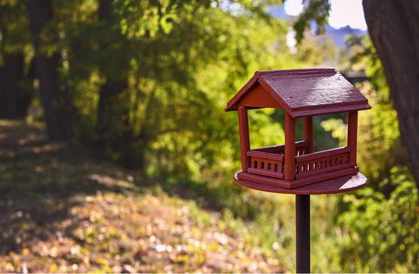 Red wooden bird feeder (birdhouse) with a roof in a city park. Sunny day, autumn. The feeder stands on a metal stand on the ground. Free space for text.