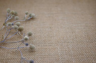 Çuval bezi üzerine dikenli bir bitkinin dalları. Metin için alanı olan doğal malzemelerin arkaplanı. Üst görünüm, eko kavramı.