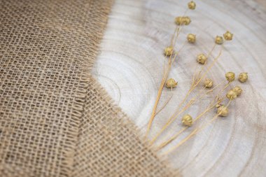 Doğal malzemelerin bileşimi. Çuval bezi ve odun. Tohumlu keten tohumu. Ahşap dokusunda yıllık halkalar. Üst görünüm, kopyalama alanı, eko kavramı.