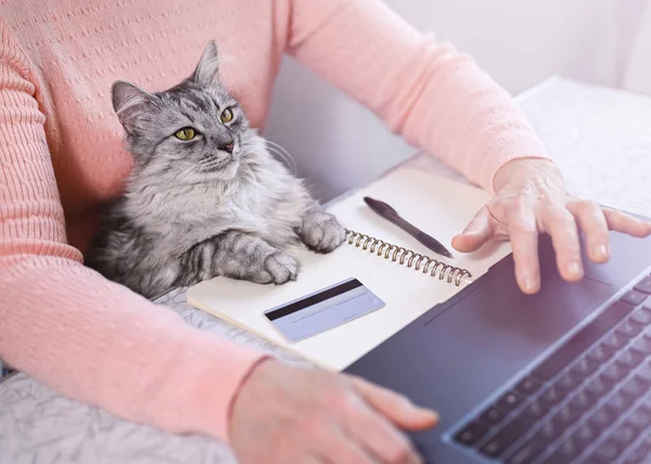 Mature Woman Works Home Laptop Her Cat Gray Cat Looks — стоковое фото