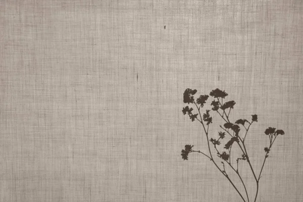 Abstract neutral background, minimalism. Dry herbs behind a cotton fabric. Shadows, silhouettes of plants on a beige background.