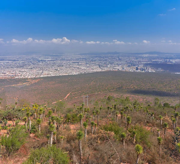 Quetaro 'nun dağdaki panoramik manzarası, arka planda şehir ve mavi gökyüzü, hiç insan yok.