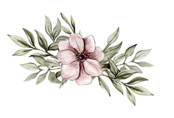 Suluboya Romantik Klasik Çiçek Çerçeveleri Kompozisyonu — Stok fotoğraf