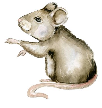 Sindirella, fare, eski kitaplar, mirrow, taşıma, taç, sihir solgunluğu