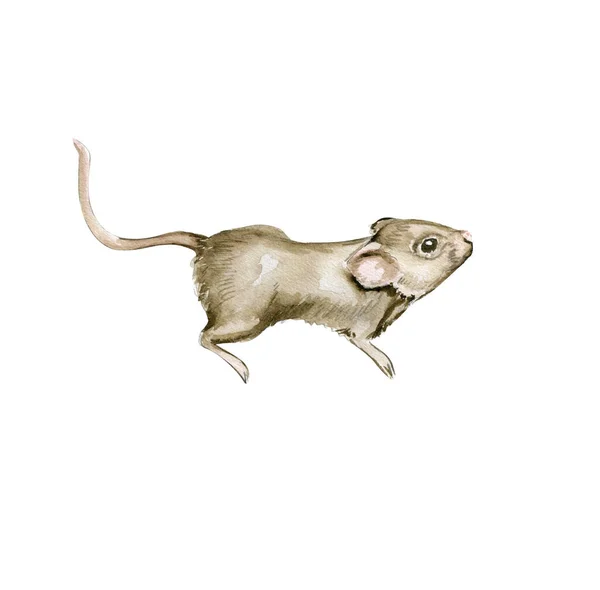 シンデレラ マウス 古い本 魔法のワンのセット — ストックベクタ