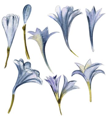 Suluboya Paskalya çiçekleri, yapraklar, buket, narsissiz desenli dijital kağıt tavşan, pasta, ahşap ev, saat.