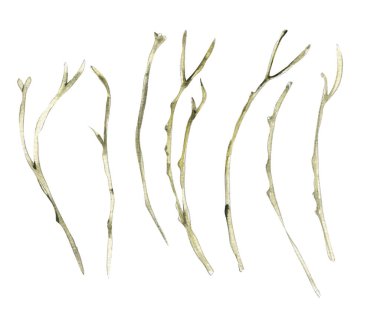 Suluboya Paskalya çiçekleri, yapraklar, buket, narsissiz desenli dijital kağıt tavşan, pasta, ahşap ev, saat.