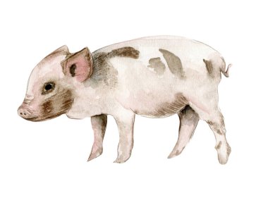 Suluboya çiftliği yaşayan bebek hayvanlar