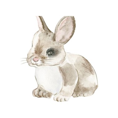 Suluboya çiftliği yaşayan bebek hayvanlar