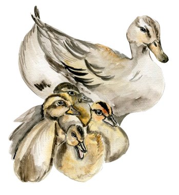 Suluboya hayvan anne, bebeğe sarılıyor.