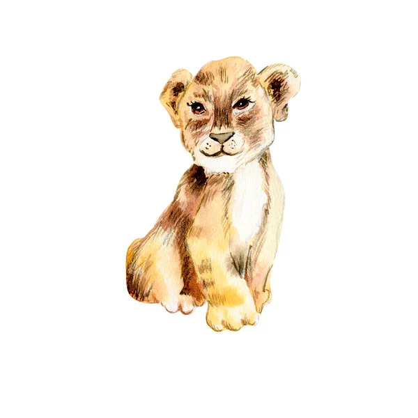 Aquarela Bonito Bebê Animal —  Vetores de Stock