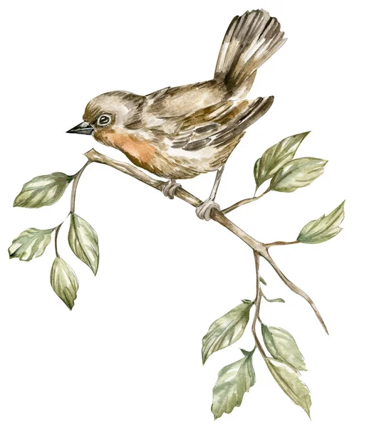 Small Bird Sits Branch — Stock Vector