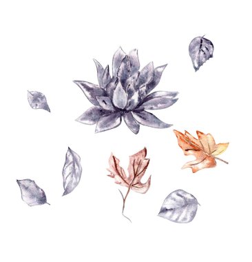 Hand drawn dry flowers and leaves
