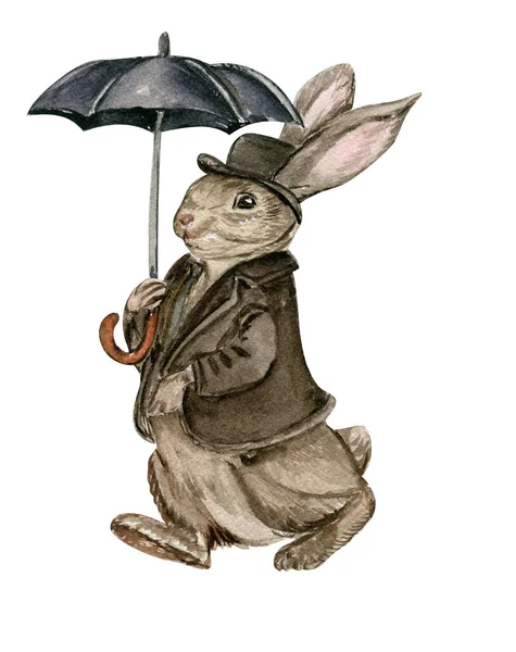 手描きウサギのウサギのウサギの服 — ストック写真