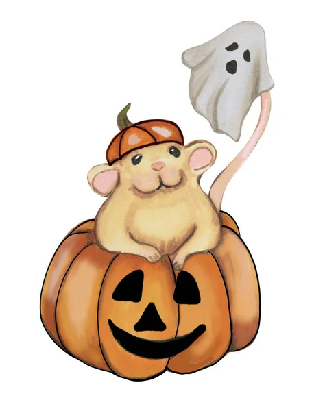 Słodkie Zwierzęta Kostiumie Halloween — Wektor stockowy