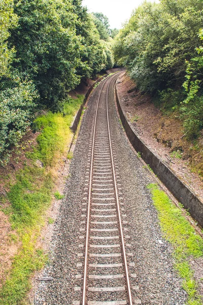 Railway Middle Nature Means Transport Travel — Stock Photo, Image