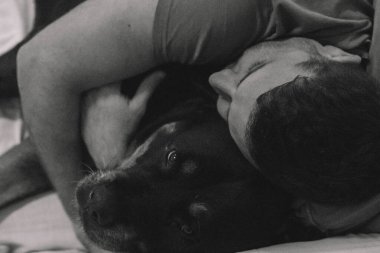 Rottweiler köpeğiyle yatan adam.