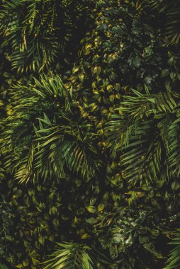 Modern dekorasyon için bitki ve çimen duvarı ideal.