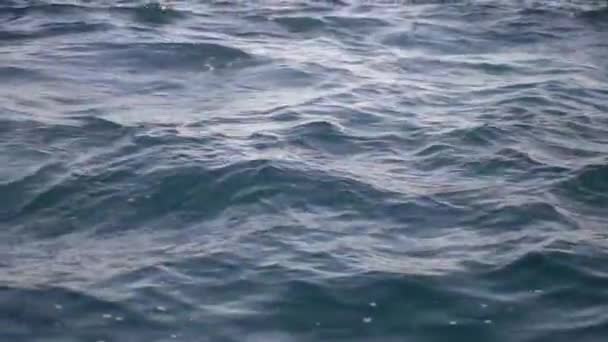 Mediterranean Sea Moving Beat — Stockvideo