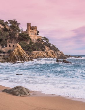 Landscape of a beach shore with waves and foam