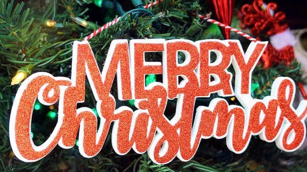 Mutlu Noeller 'in yakın çekimi 