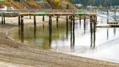 Göldeki ahşap iskelede kanolar