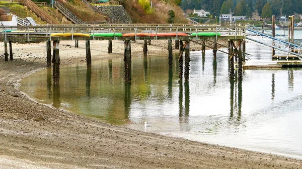 Göldeki ahşap iskelede kanolar