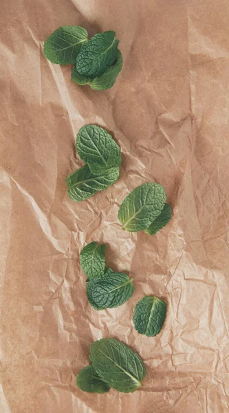 Arrangement Green Mint Leaves Brown Paper Creative Fresh Concept Flat — Foto de Stock
