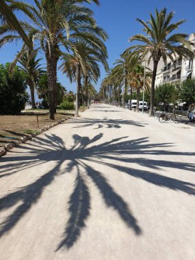 Güneşli bir günde avuçların gölgeleriyle gezer siteler