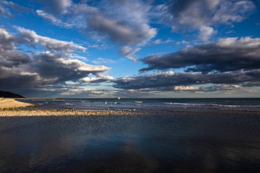 Gün batımında uçan martılarla sahilin manzarası