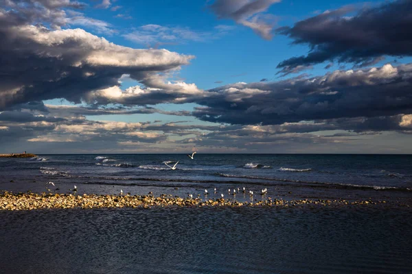 Gün batımında uçan martılarla sahilin manzarası