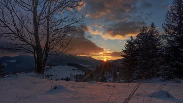 Sonnenuntergang in einer verschneiten Landschaft mit beweglichen bunten Wolken, Bäumen und einem Schneemann — Stockvideo
