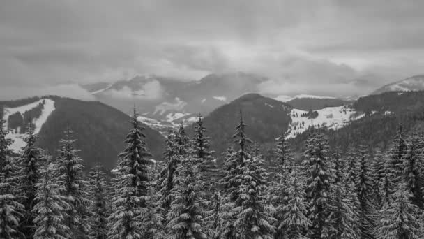 Dağların üzerinde kalın bulutlar ve çam ağaçlarıyla kaplı bir kış manzarası. — Stok video