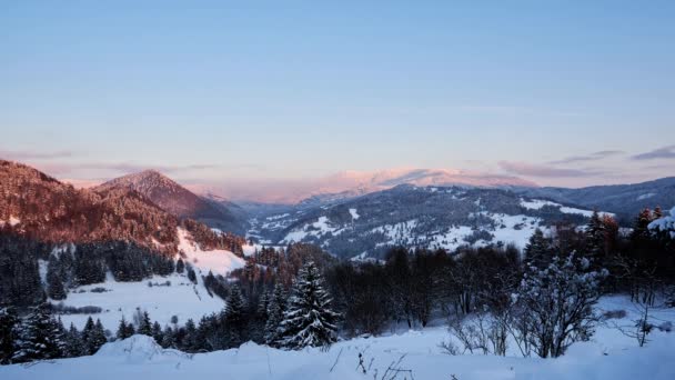 Зимний морозный лесной пейзаж, закат солнца, краски приятного цвета тона на еловых холмах — стоковое видео
