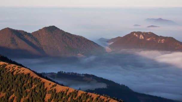 The forested peaks of the hills protrude from the fog. The fog wraps around the mountains — Stockvideo