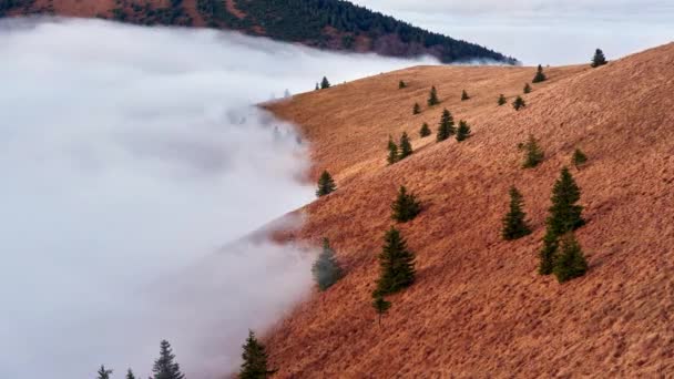 The fog in the mountains spills over the trees in the national park in the Slovak Carpathians — Vídeos de Stock