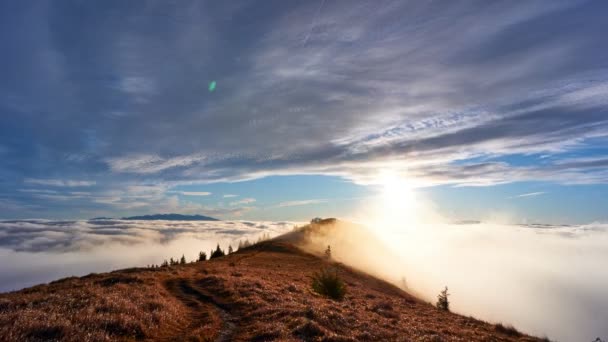 Landscape above the clouds. Clouds spill over a grassy hill with trees in a national park — Video