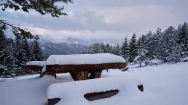 Wooden bench covered with snow in the spruce forest. Incoming fog with snow.
