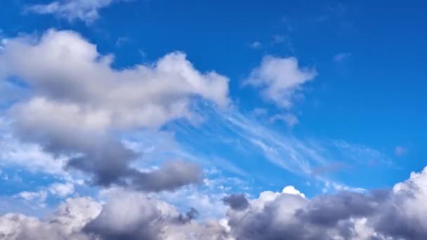 Blue sky white clouds. Cumulus clouds , timelapse video — стоковое видео