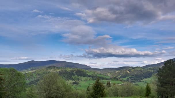 Green spring landscape. Flowering trees in a mixed forest. Clouds form on moving slowly over the landscape. — Stock video